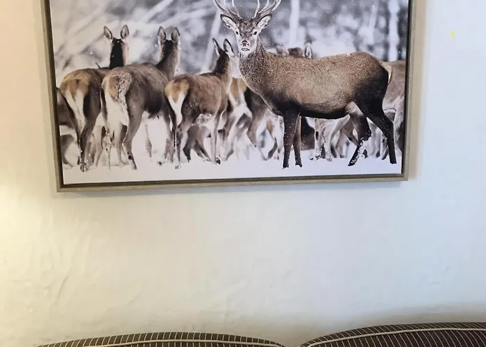 La Ginabelle - Maeva - Vue Mont Blanc 3 Pieces 6 Personnes Avec Parking - Prestige Mae-8604 *